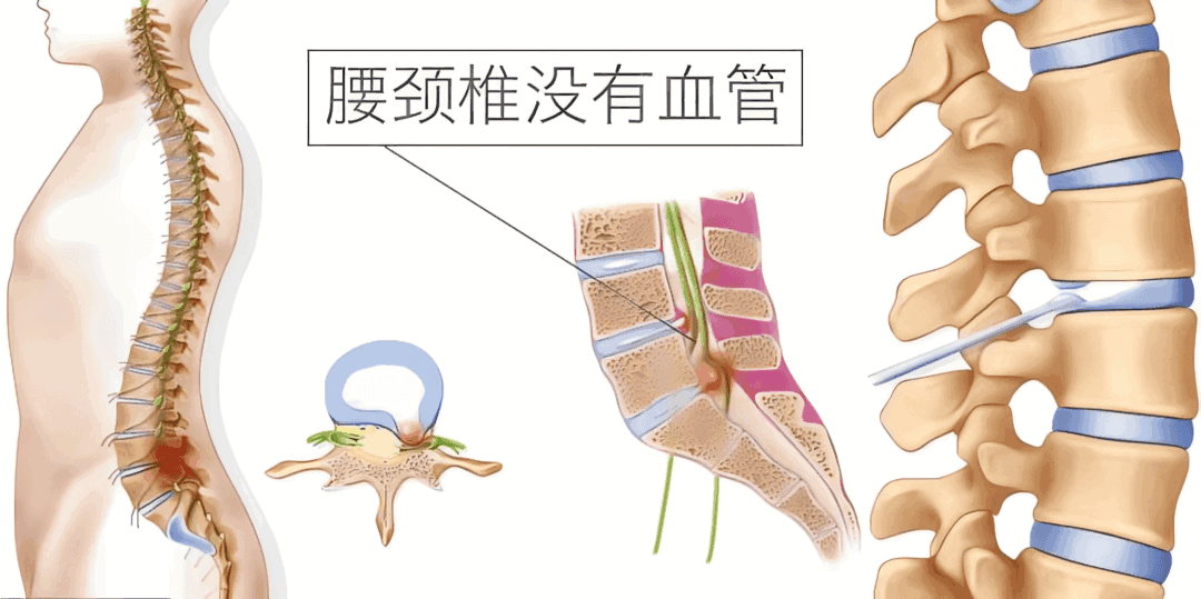 de7183f8296dec257d169328b32949c.png